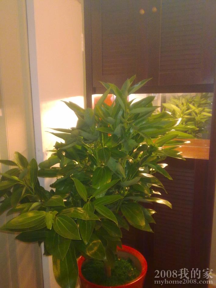 201201181288.jpg