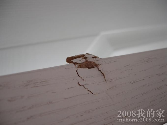 nEO_IMG_DSC04954.jpg