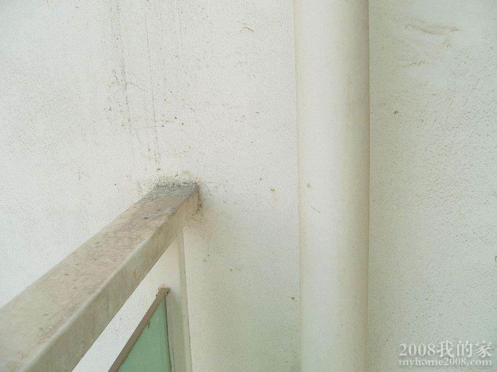 SNV80978.JPG