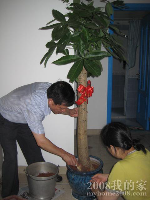 IMG_4431.JPG