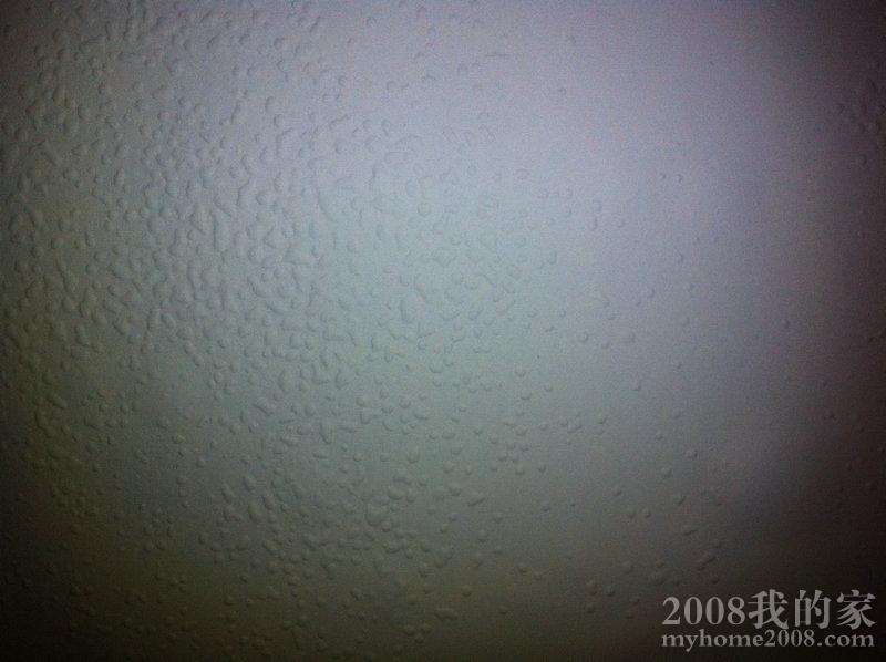 Ƭ 011.jpg
