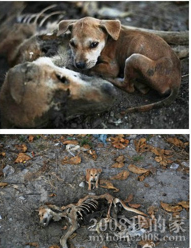 QQͼ20121116104439.png