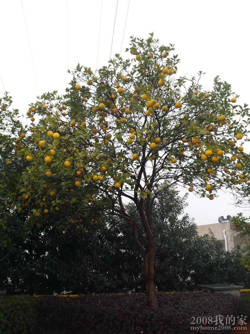 20121121_084430x.jpg