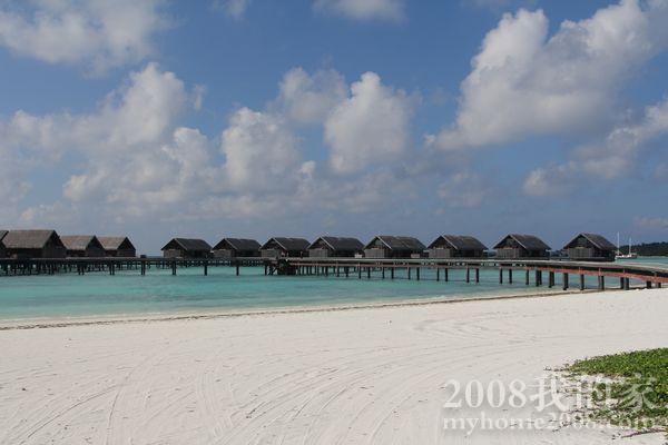 IMG_2312.jpg