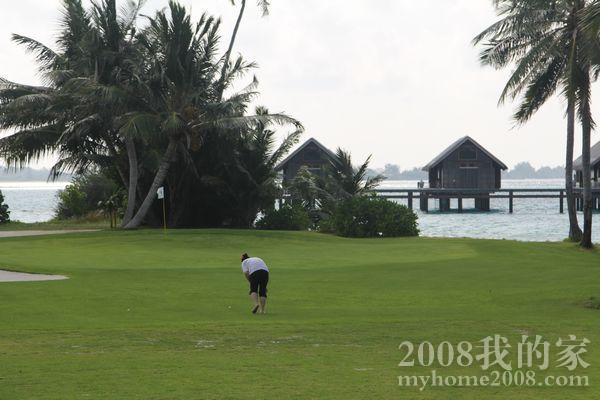 IMG_2228.jpg