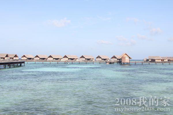 IMG_1979.jpg